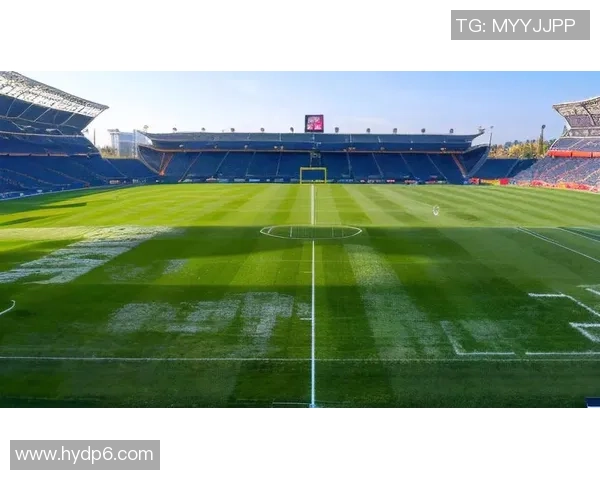 众星云集 足球巨星同框合影 展现绿茵场上的荣耀与风采