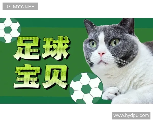 足球巨星背后的萌宠故事 揭秘球员与爱犬的亲密关系